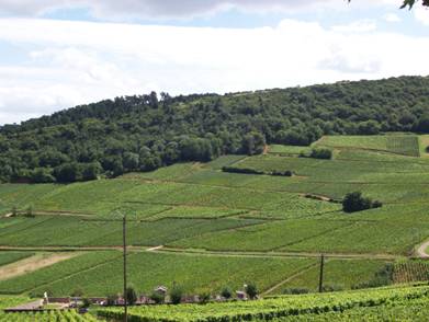 Bourgogne 2008 037.jpg