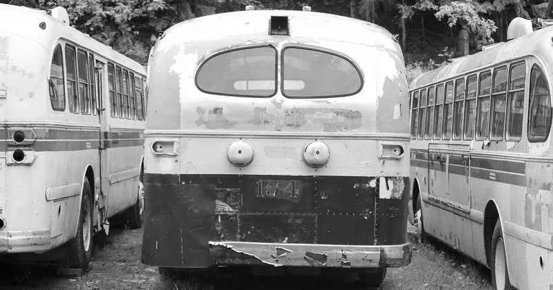 Van ou voiture : le choix qui change le rythme