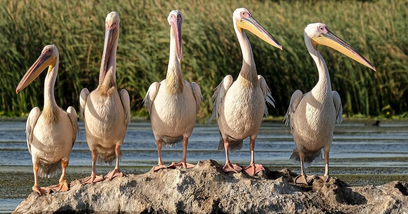 Écotourisme : découvrir la nature sans la dégrader, c'est possible