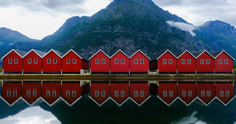Voyage nature en Scandinavie : fjords, forêts et grands espaces